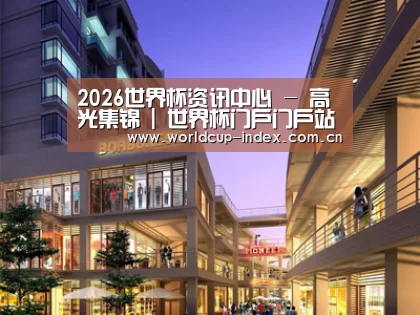 案例展示一(图1)