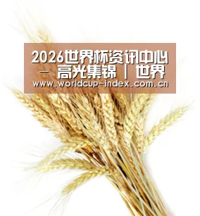 2026世界杯资讯中心 - 高光集锦 | 世界杯门户门户站