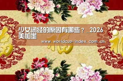 中文资讯