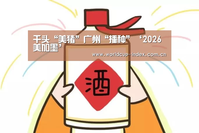 焦点比赛