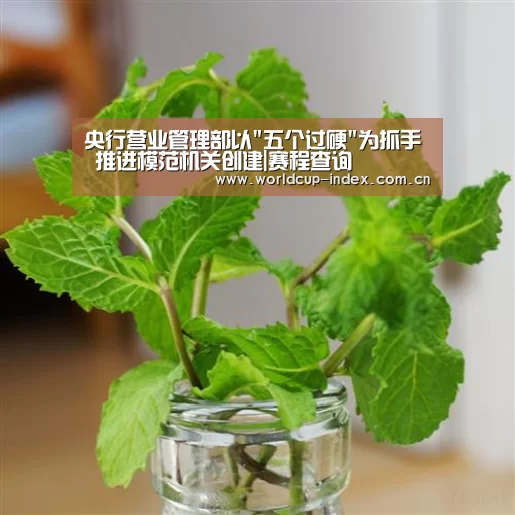 央行营业管理部以五个过硬为抓手 推进模范机关创建|赛程查询(图1) 焦点比赛
