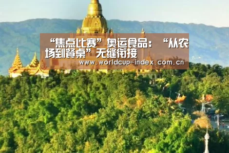 焦点比赛