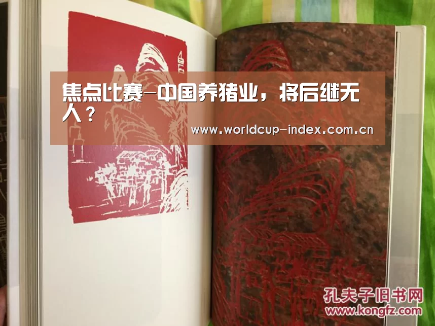 焦点比赛-中国养猪业,将后继无人?(图2) 焦点比赛