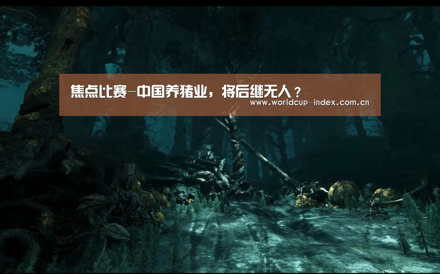 焦点比赛-中国养猪业,将后继无人?(图1) 赛程查询