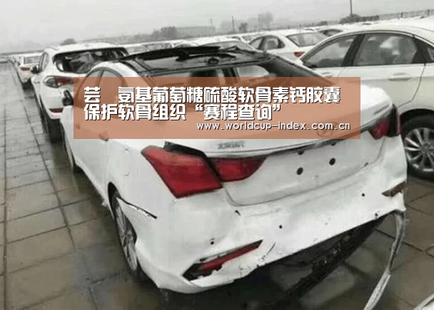 芸璟氨基葡萄糖硫酸软骨素钙胶囊 保护软骨组织“赛程查询”(图2) 中文资讯
