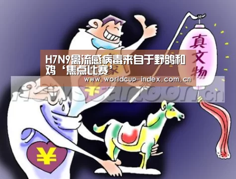 H7N9禽流感病毒来自于野鸽和鸡‘焦点比赛’(图1) 焦点比赛