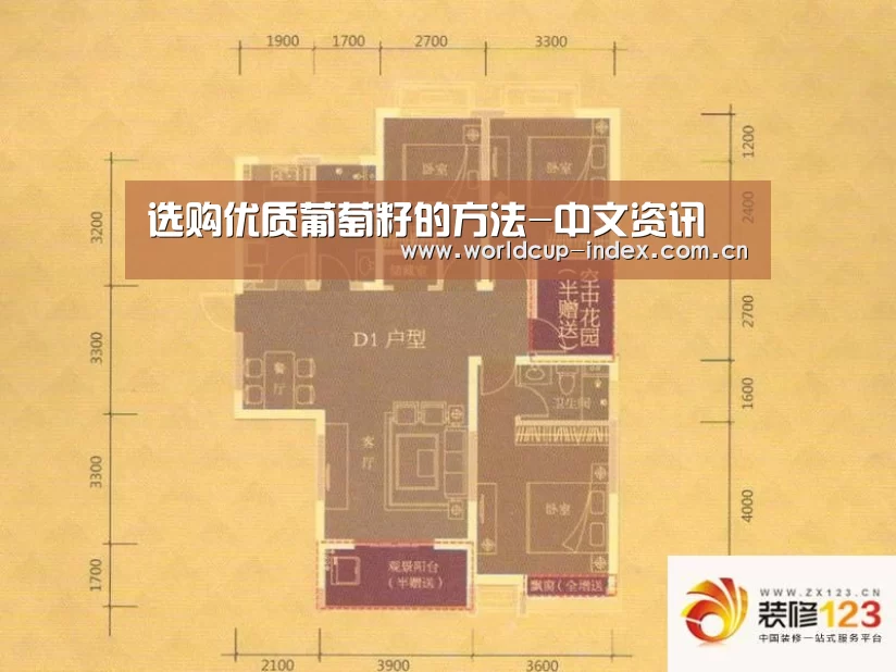 选购优质葡萄籽的方法-中文资讯(图1) 中文资讯