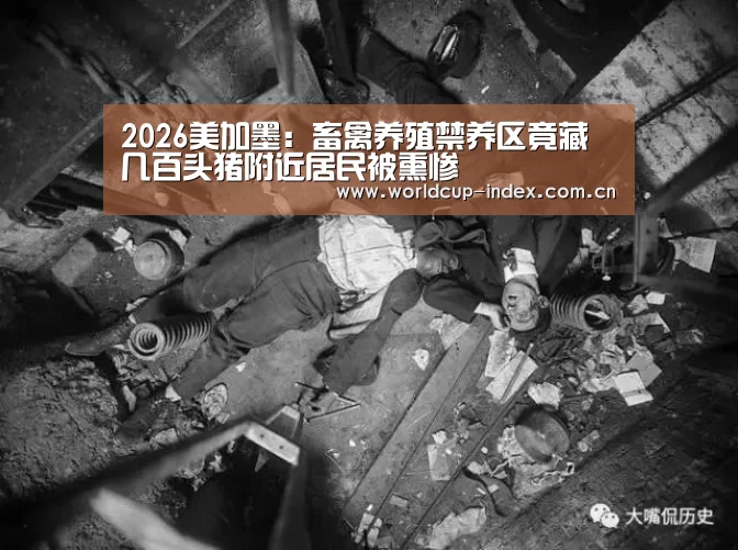 2026美加墨:畜禽养殖禁养区竟藏几百头猪附近居民被熏惨(图1) 焦点比赛