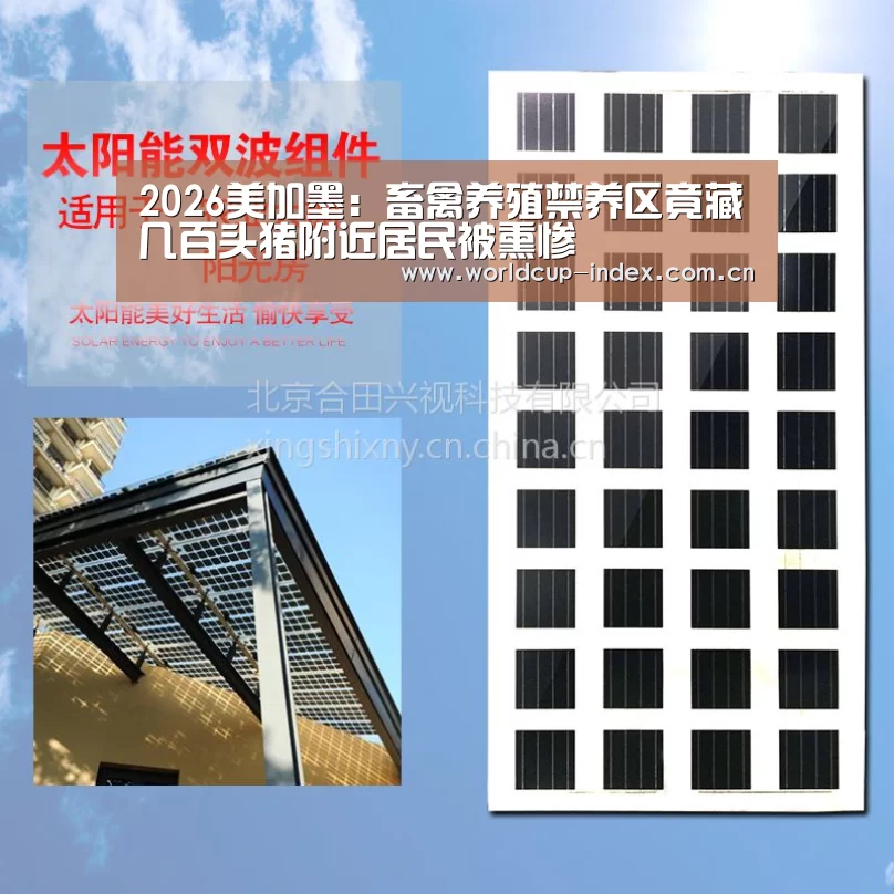 2026美加墨:畜禽养殖禁养区竟藏几百头猪附近居民被熏惨(图2) 赛程查询