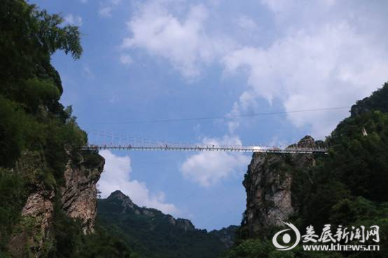 焦点比赛