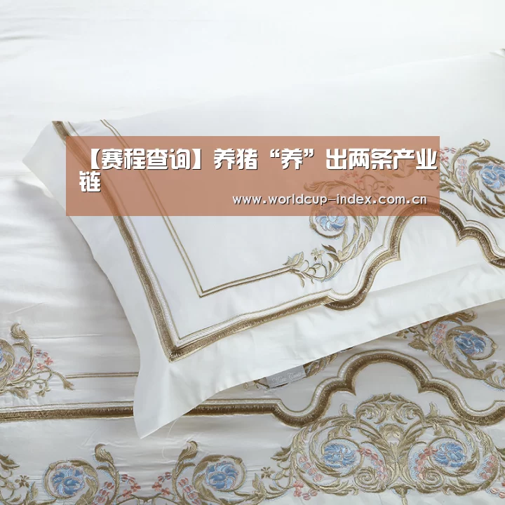 【赛程查询】养猪“养”出两条产业链(图4) 赛程查询