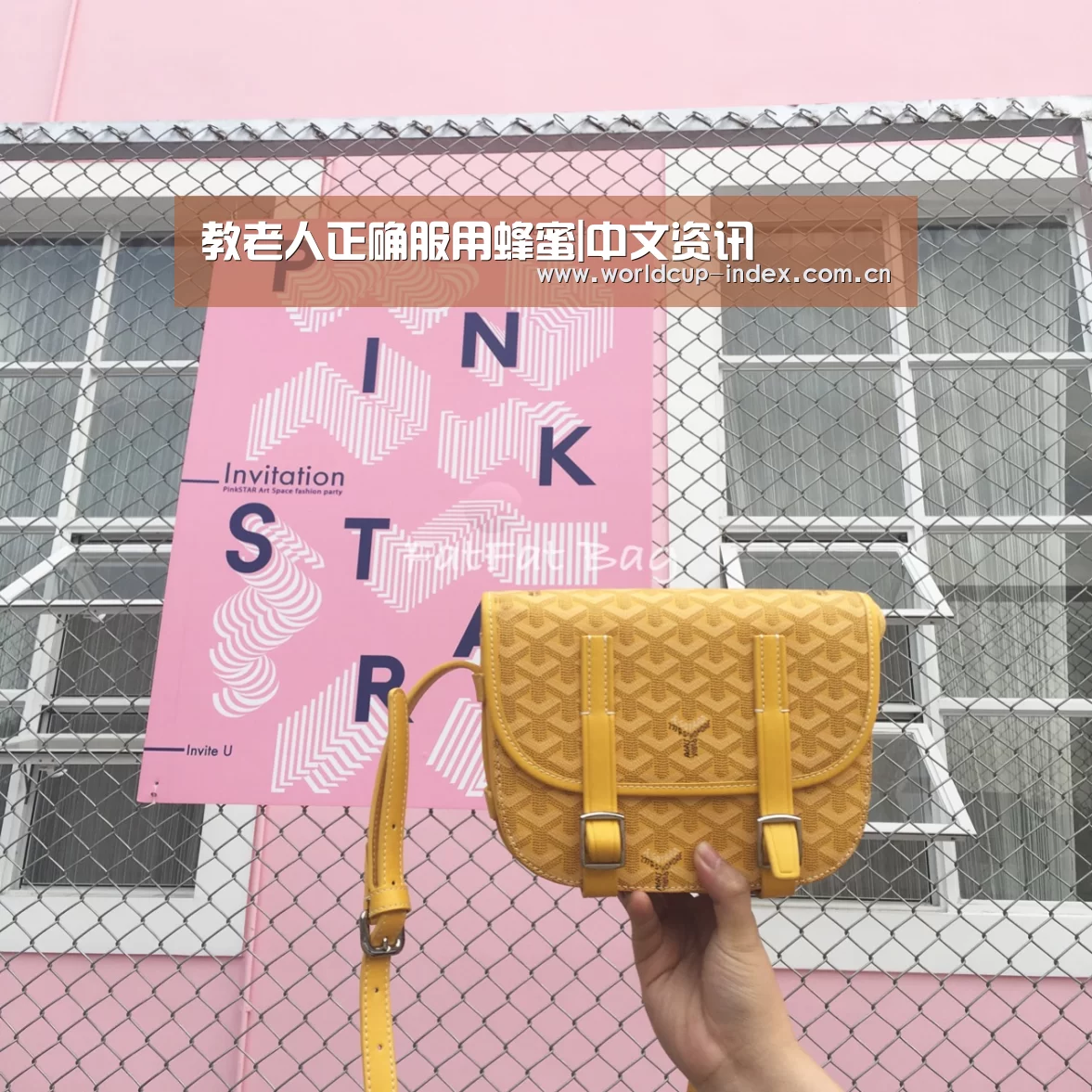 赛程查询
