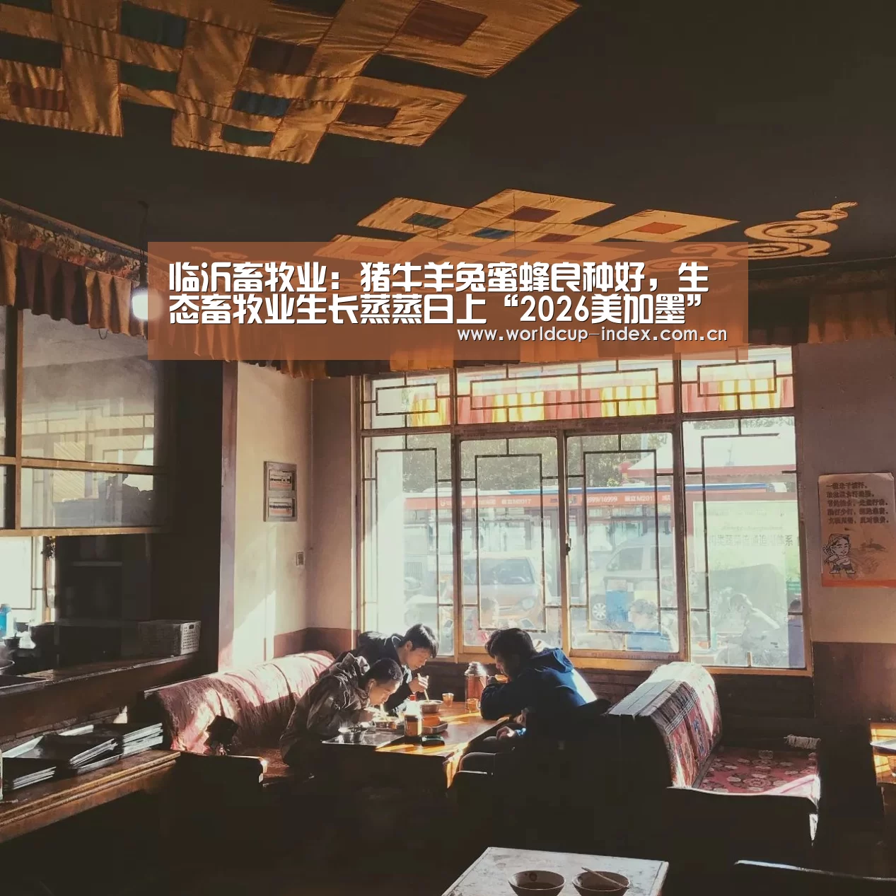 临沂畜牧业:猪牛羊兔蜜蜂良种好,生态畜牧业生长蒸蒸日上“2026美加墨”(图1) 赛程查询