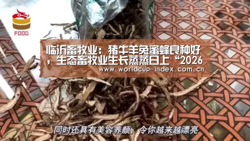 临沂畜牧业:猪牛羊兔蜜蜂良种好,生态畜牧业生长蒸蒸日上“2026美加墨”(图3) 2026美加墨